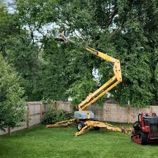Best Commercial Tree Services  in Alexandria, VA