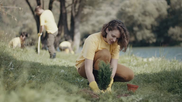 Best Lawn Watering Services  in Alexandria, VA