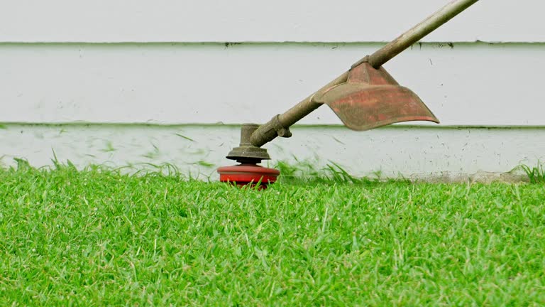 Seasonal Cleanup (Spring/Fall) in Alexandria, VA
