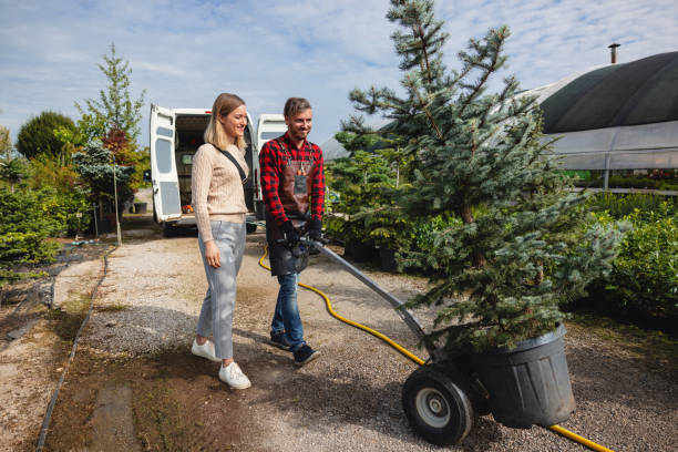 Best Weed Control  in Alexandria, VA